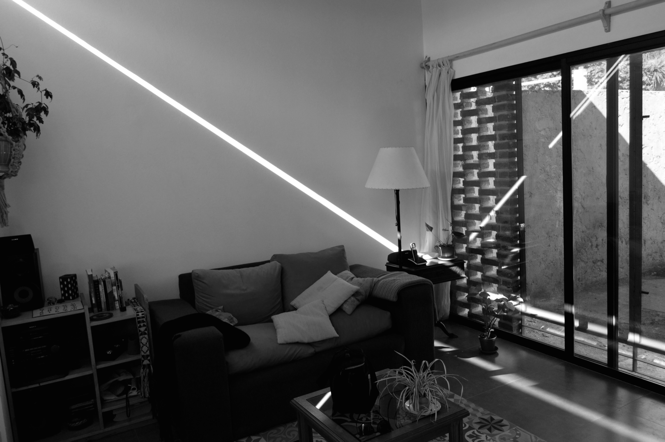 Estar habitado atravesado por la luz de la tarde